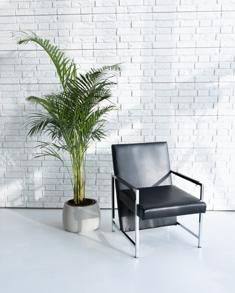 faina studija- fotostudijos nuoma kaunas