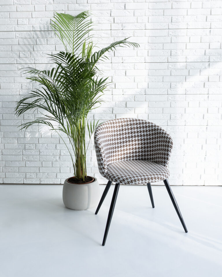 faina studija- fotostudijos nuoma kaunas