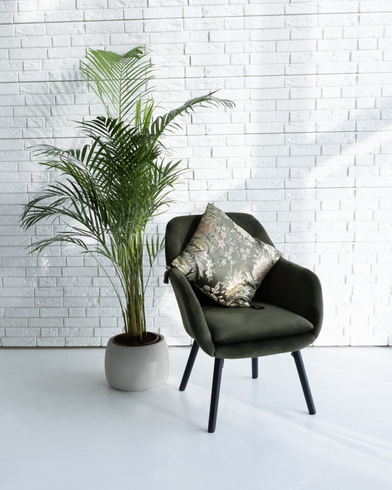 faina studija- fotostudijos nuoma kaunas