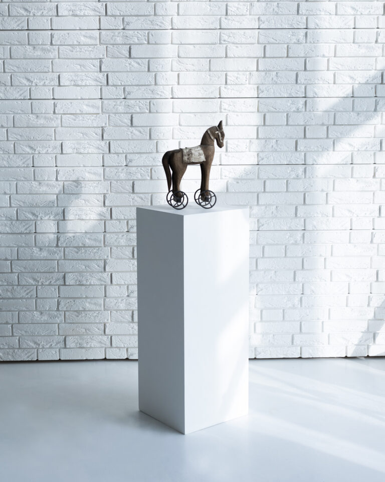 faina studija- fotostudijos nuoma kaunas