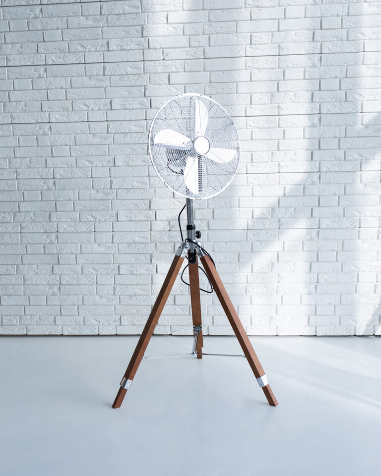 faina studija- fotostudijos nuoma kaunas